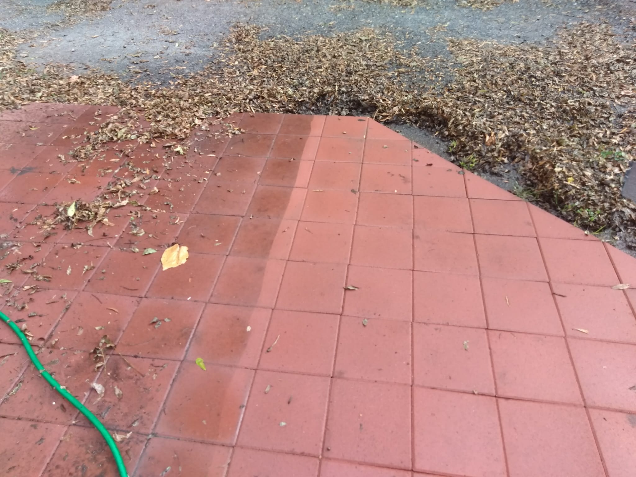 Paver Sealing